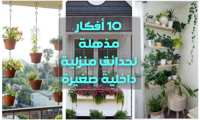 10 أفكار مذهلة لحدائق منزلية داخلية صغيرة